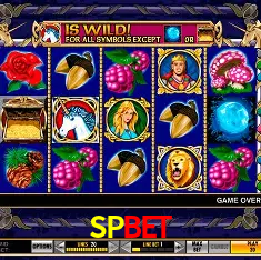 Descubra a Essência do SPBET: Nossa História e Compromissos